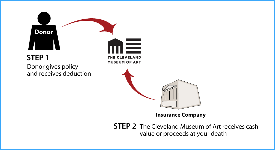 Life Insurance Policy Diagram